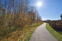 Walking trail along natural forest of Jesperdale community in Spruce Grove